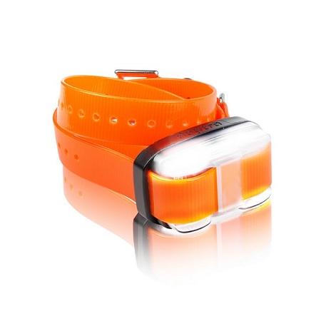 Edge 1 Mile Extra Collar Orange