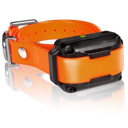 Iq Plus Additional Receiver Orange Strap