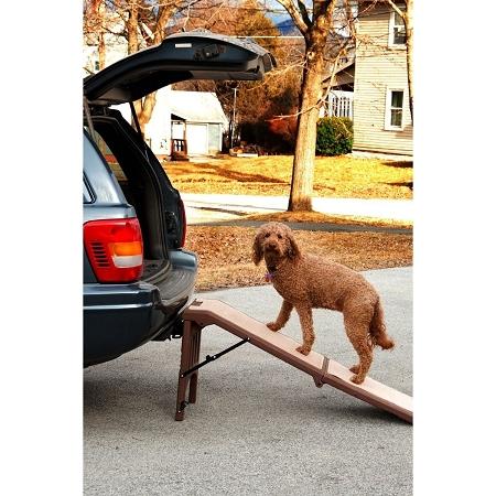 Free-standing Pet Ramp