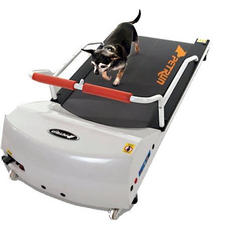 Petrun Pr700 Dog Treadmill