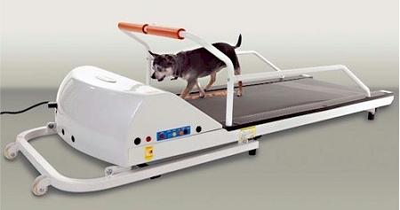 Petrun Pr710 Dog Treadmill