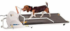 Dog Treadmills