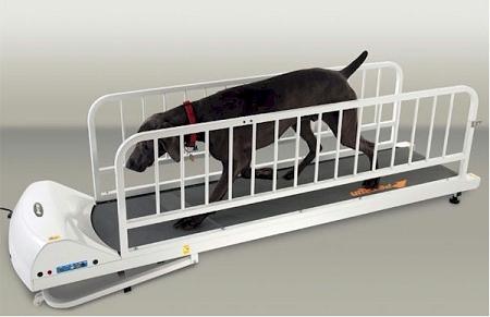 Petrun Pr725 Dog Treadmill