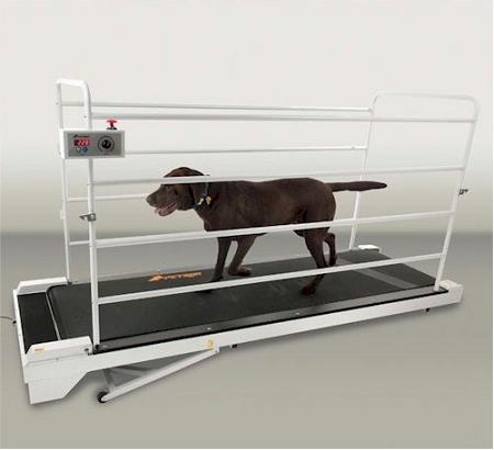 Petrun Pr730 Dog Treadmill