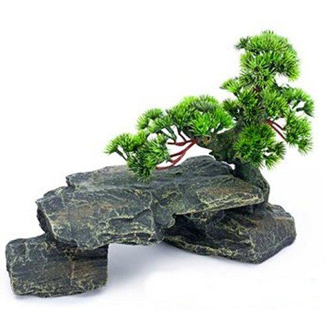 Large Bonsai Tree On Rocks