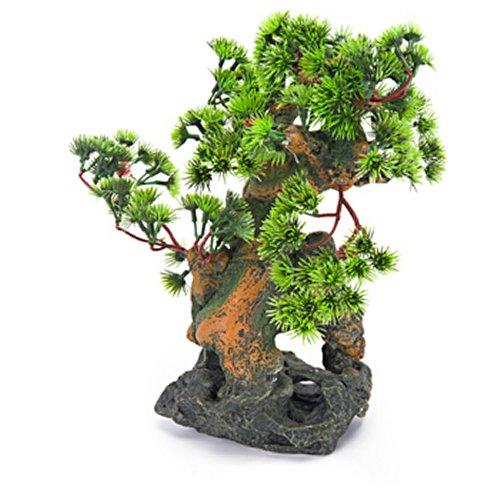 Bonsai Tree On Rocks