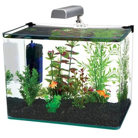 Radius 5 Gallon Glass Aquarium Kit